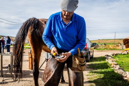 Ganado y actividades tradicionales en una agradable mañana