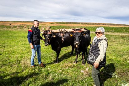 Ganado y actividades tradicionales en una agradable mañana