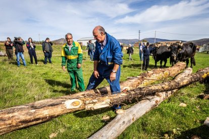 Ganado y actividades tradicionales en una agradable mañana