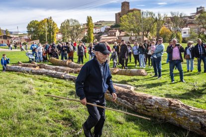 Ganado y actividades tradicionales en una agradable mañana