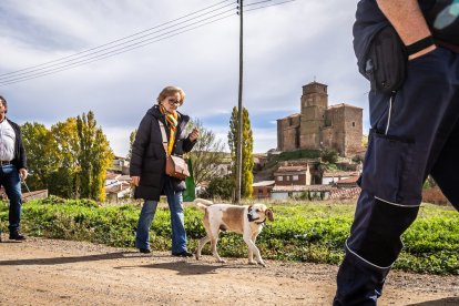 Ganado y actividades tradicionales en una agradable mañana