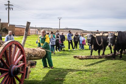 Ganado y actividades tradicionales en una agradable mañana