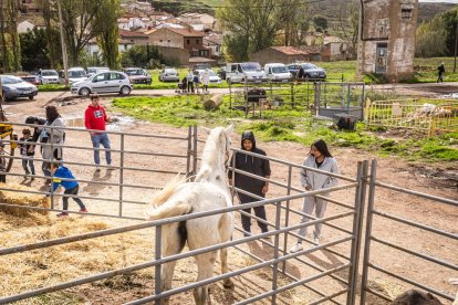 Ganado y actividades tradicionales en una agradable mañana