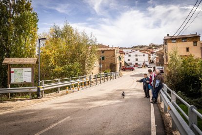 Ganado y actividades tradicionales en una agradable mañana