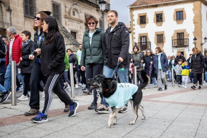 Los sorianos se han volcado con la marcha.