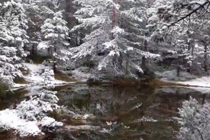 La nieve ya engalana las cumbres de Soria. El responsable de la estación Meteoclimatic de Duruelo de la Sierra y divulgador, Agustín Sandoval, vuelve a calzarse las botas para bajar un vídeo de belleza absoluta. "Postales de invierno, pero con setas, en el entorno de esta pequeña  laguna. Duruelo de la Sierra, Soria, cota 1800, con décimas bajo cero ahora", explica en su perfil de X (otrora Twitter).