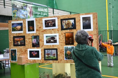 La localidad pinariega vive una nueva jornada ferial.