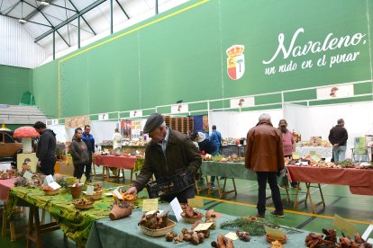 La localidad pinariega vive una nueva jornada ferial.