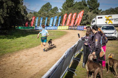 La carrera ha tenido un gran nivel de los mushers sorianos.