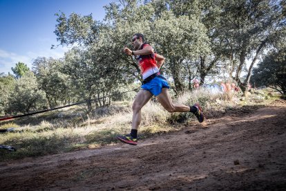 La carrera ha tenido un gran nivel de los mushers sorianos.