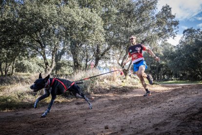 La carrera ha tenido un gran nivel de los mushers sorianos.