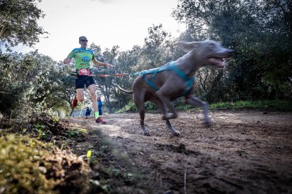 La carrera ha tenido un gran nivel de los mushers sorianos.