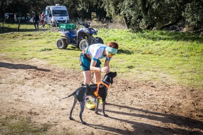 La carrera ha tenido un gran nivel de los mushers sorianos.