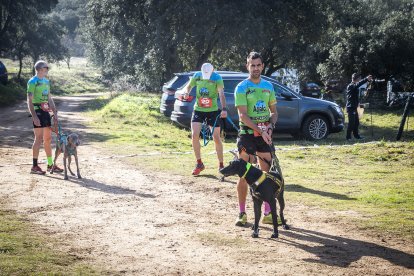 La carrera ha tenido un gran nivel de los mushers sorianos.