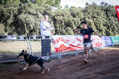 La carrera ha tenido un gran nivel de los mushers sorianos.