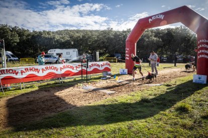 La carrera ha tenido un gran nivel de los mushers sorianos.