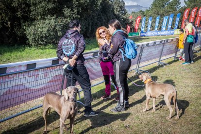 La carrera ha tenido un gran nivel de los mushers sorianos.