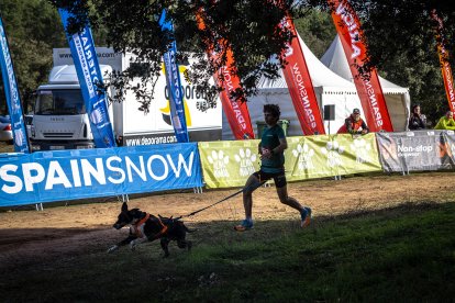 La carrera ha tenido un gran nivel de los mushers sorianos.