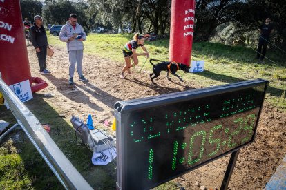 La carrera ha tenido un gran nivel de los mushers sorianos.