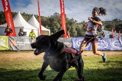 La carrera ha tenido un gran nivel de los mushers sorianos.