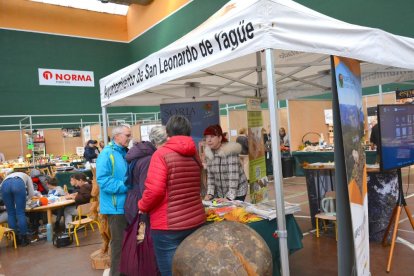 San Leonardo se vuelca con setas, hongos y los valores del bosque en sus XXI Jornadas Micológicas.