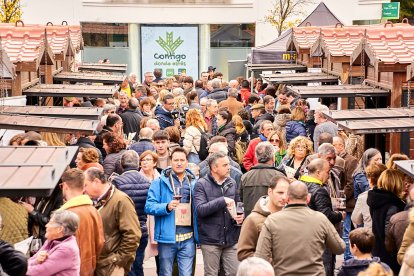 Numeroso público acudió a probar los vinos sorianos en la feria.