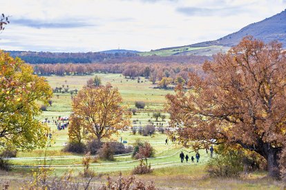 Valonsadero vuelve a convertirse en epicentro del campo a través con la trigésima edición del Cross Internacional de Soria.