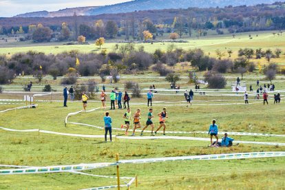 Valonsadero vuelve a convertirse en epicentro del campo a través con la trigésima edición del Cross Internacional de Soria.