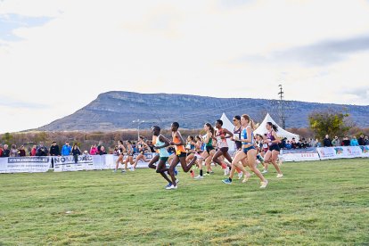 Valonsadero vuelve a convertirse en epicentro del campo a través con la trigésima edición del Cross Internacional de Soria.