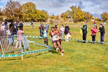 Valonsadero vuelve a convertirse en epicentro del campo a través con la trigésima edición del Cross Internacional de Soria.