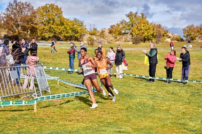 Valonsadero vuelve a convertirse en epicentro del campo a través con la trigésima edición del Cross Internacional de Soria.