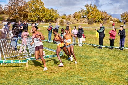 Valonsadero vuelve a convertirse en epicentro del campo a través con la trigésima edición del Cross Internacional de Soria.