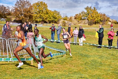 Valonsadero vuelve a convertirse en epicentro del campo a través con la trigésima edición del Cross Internacional de Soria.