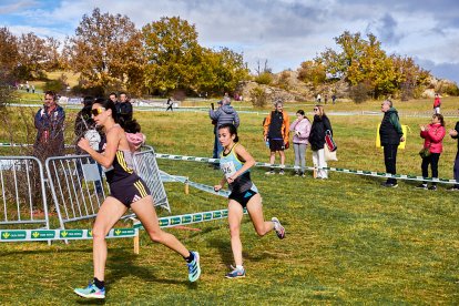 Valonsadero vuelve a convertirse en epicentro del campo a través con la trigésima edición del Cross Internacional de Soria.