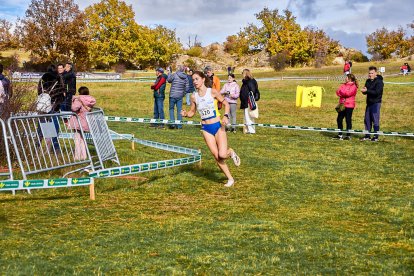 Valonsadero vuelve a convertirse en epicentro del campo a través con la trigésima edición del Cross Internacional de Soria.