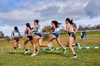 Valonsadero vuelve a convertirse en epicentro del campo a través con la trigésima edición del Cross Internacional de Soria.