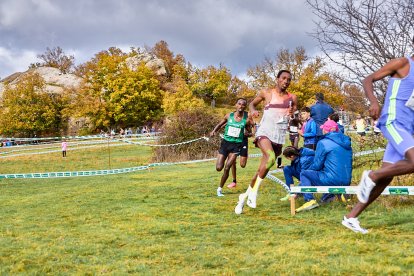 Valonsadero vuelve a convertirse en epicentro del campo a través con la trigésima edición del Cross Internacional de Soria.