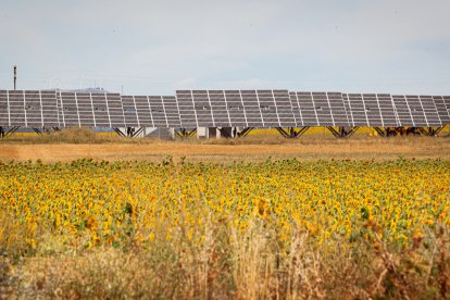 Parque fotovoltaico en la provincia de Soria.