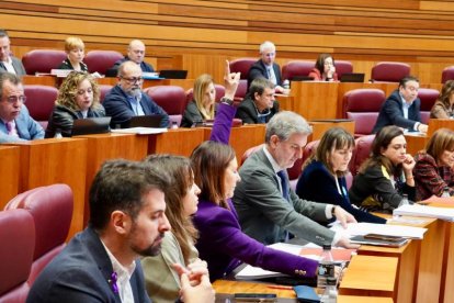 Votación en el pleno de las Cortes.