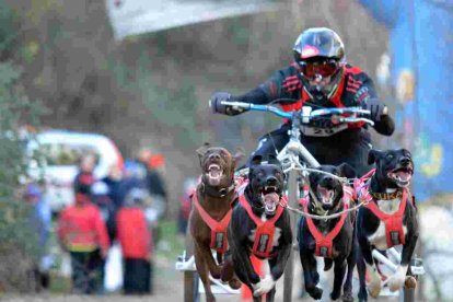 El mushing soriano estará bien representado en el Nacional de Burgos.