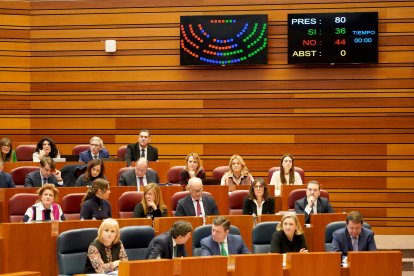 Segunda sesión del pleno de las Cortes de Castilla y León.
