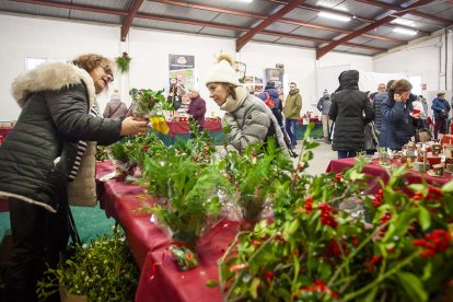 La feria reúne a un gran número de público.