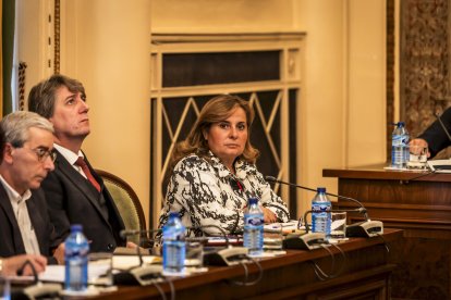 Esther Pérez, portavoz del PSOE en la Diputación de Soria.