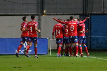 Los jugadores del Numancia celebran uno de los dos goles anotados por Dani Fernández.