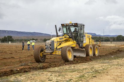 Trabajos de desbroce en la parcela del PEMA donde se instalará la empresa Maheso, dedicada a alimentos congelados.
