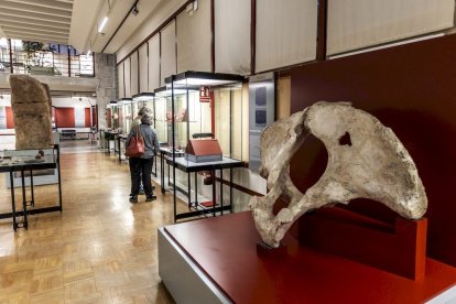 Un museo que agrupa las joyas del patrimonio soriano