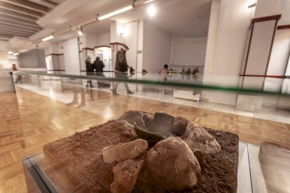 Un museo que agrupa las joyas del patrimonio soriano