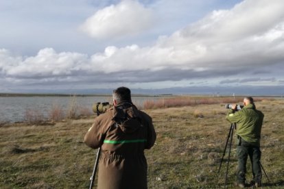 Agentes y celadores medioambientales realizan en estas fechas el censo de aves acuáticas invernantes.