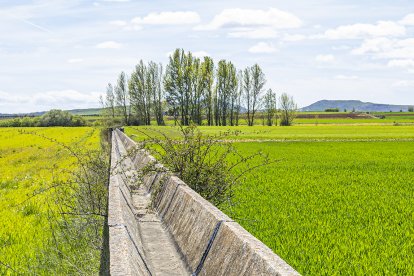 La modernización de Campillo de Buitrago sigue pendiente décadas después.