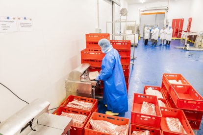 Las nuevas instalaciones se ubican en el PEMA de Garray